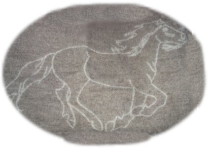 icelandic horse on blanket